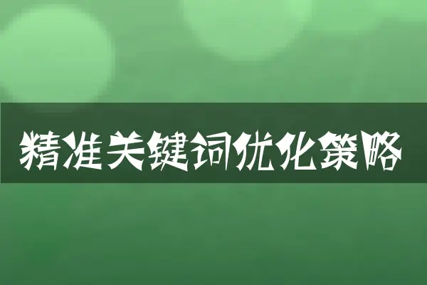 精准关键词优化策略