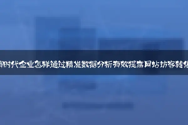 数字营销时代企业怎样通过精准数据分析有效提高网站访客转化率